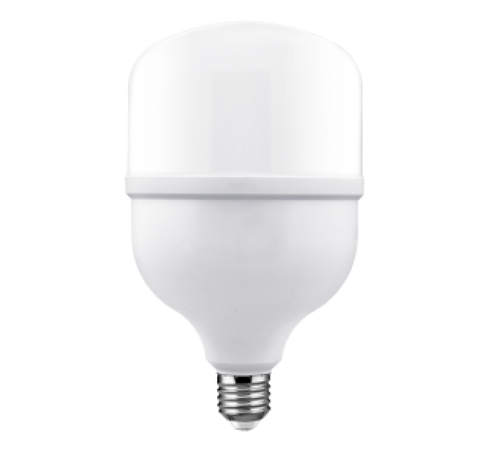 Classic Series LED T Bulb